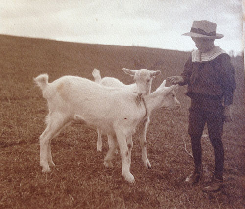 Otto i 1913 fotograferet af Johannes Rønvig